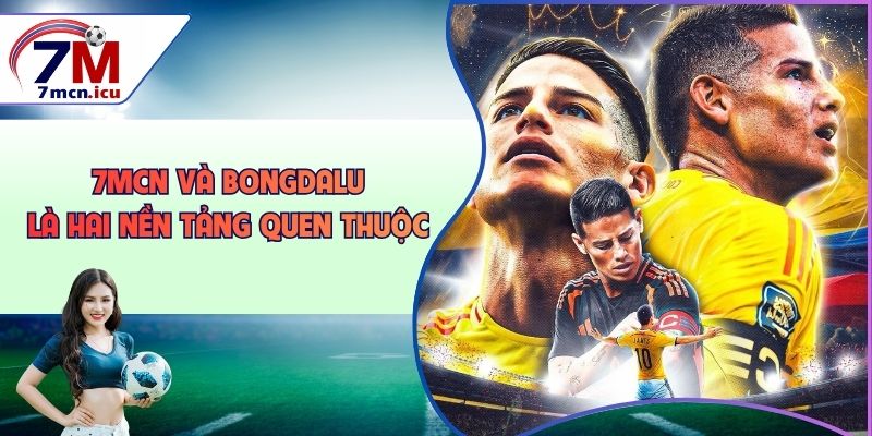 7MCN và Bongdalu là hai nền tảng quen thuộc