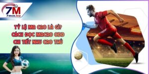 Tỷ lệ Ma Cao Là Gì? Cách Đọc Macao Odds Chi Tiết Như Cao Thủ
